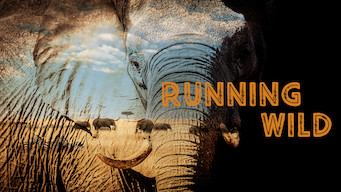 Running Wild